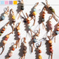 Keypus - Retro Asymmetric Beaded Keychain