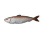 Beau - Funny Realistic Salted Fish Hair Clip