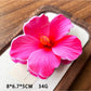 Top view of Beau hibiscus claw clip displaying flower design and clasp