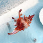Beau - Colorful Conch Shape Hair Clip