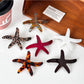 Beau - Starfish Personality Hair Clip