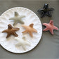 Beau - Starfish Ocean Style Glossy Claw Hair Clip