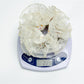 Gifty - Chic Floral Print Ruffled Lace Scrunchie