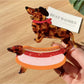 Beau dachshund claw clip held in hand to show size and scale