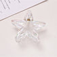 Beau - Transparent Star Shape Plastic Claw Hair Clip