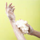 Papo - Fruit Pattern Bath Flower
