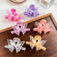 Beau hair claw clip with elegant butterfly decoration on a white background