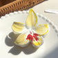 Beau - Bright Flower Shaped Cute Claw Clip