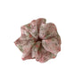 Gifty - Mesh Floral Print Polyester Scrunchie Hair Tie