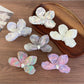 Beau acetate moth orchid claw clip shown from front on white background