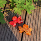 Beau - Simulated Maple Leaf Acetate Hair Claw Clip