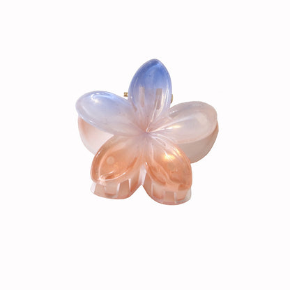 Beau - Gradient Petal Floral Plastic Claw Clip