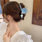 Beau - Sweet Style Acrylic Decorative Claw Clip