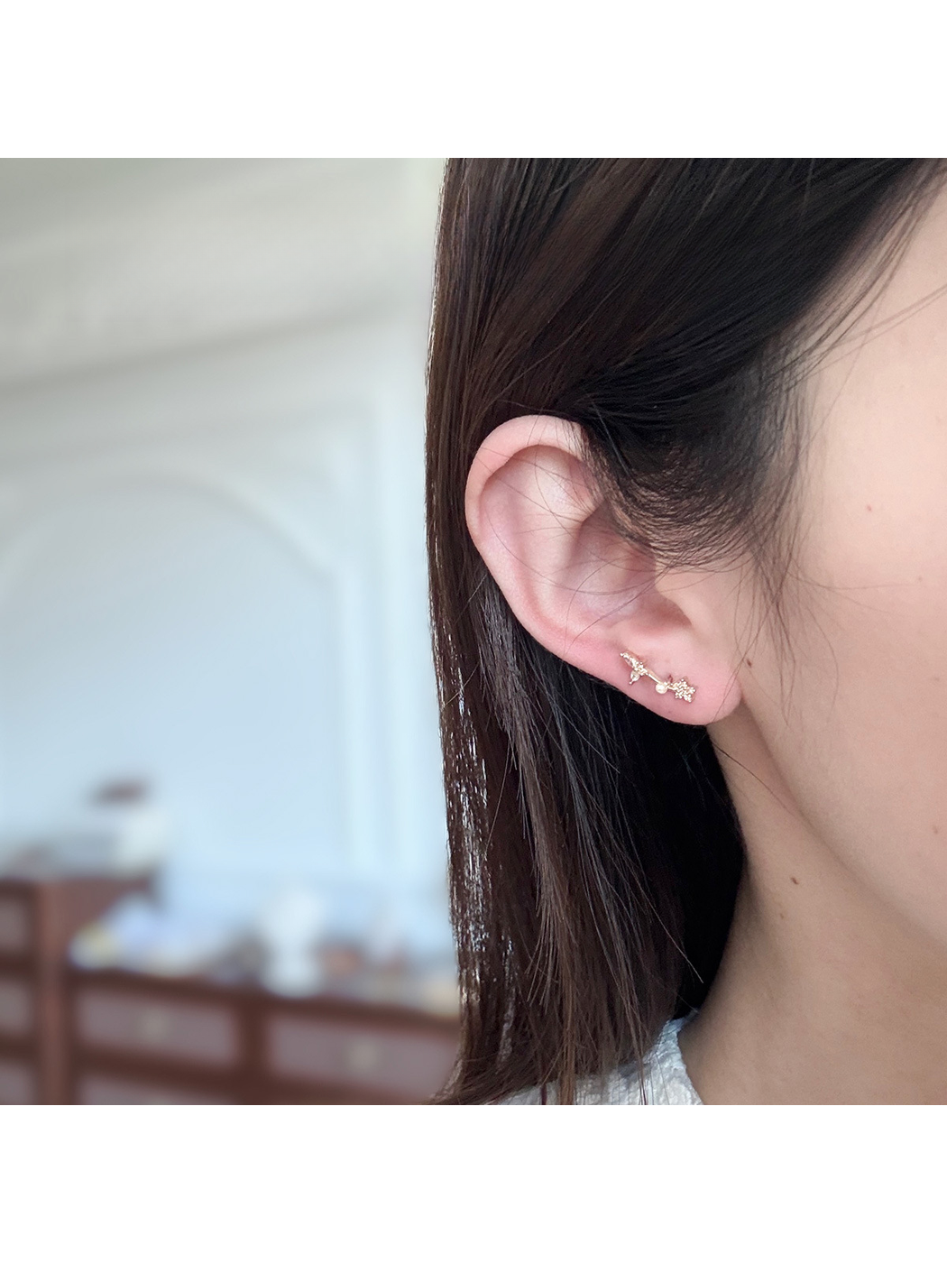 Earedge - Light Luxury Butterfly Drop Stud Earrings