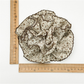 Gifty - Sweet Style Printed Ruffle Scrunchie