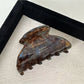 Beau - Beautiful Retro Acetate Hair Clip