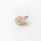 Beau - Acetate Angel Wing Claw Clip