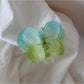 Beau - Glossy Jelly Finish Flower Star Claw Clip