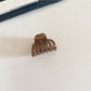Beau - Clear Pumpkin Shape Plastic Alloy Claw Clip