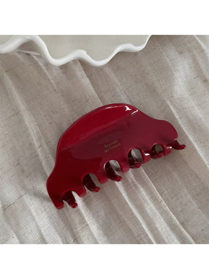 Beau - Beautiful Acetate Fashionable Hair Clip