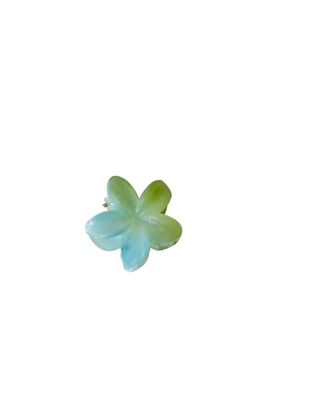 Beau - Glossy Gradient Starfish and Flower Claw Clip