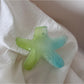 Beau - Glossy Jelly Finish Flower Star Claw Clip