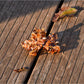 Beau - Simulated Maple Leaf Acetate Hair Claw Clip