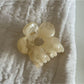 Beau - Glossy Acrylic Flower Hollow Claw Clip