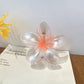 Beau - Translucent Flower Design Claw Clip