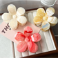 Beau - Floral Gradient Plastic Commuter Updo Claw Clip