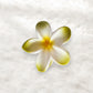 Beau - Sweet Style Five Petal Flower Hair Claw Clip