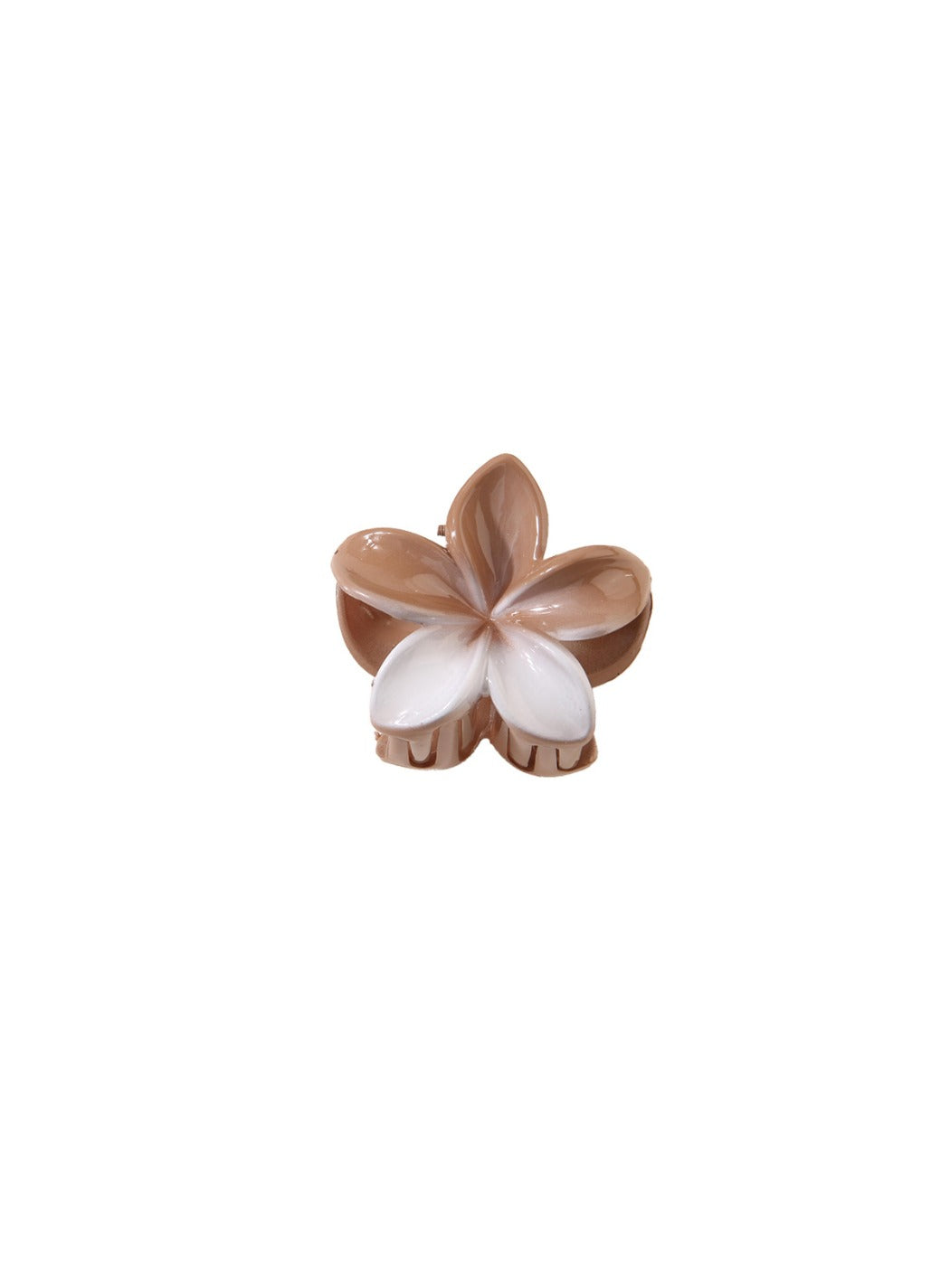 Beau - Chic Gradient Flower Claw Clip