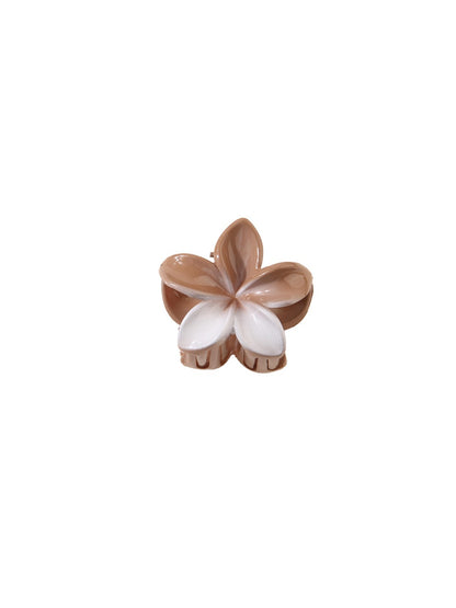 Beau - Chic Gradient Flower Claw Clip