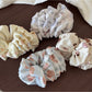 Beau - Bear Print Layered Bow Banana Clip