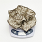 Gifty - Sweet Style Printed Ruffle Scrunchie