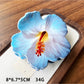 Beau hibiscus claw clip packaged in clear plastic box with branding