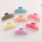 Beau - Pastel Large Hair Claw Clip