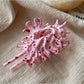 Beau - Conch Shaped Hair Clip