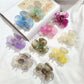 Beau Sweet Acetate Medium Flower Claw Clip in translucent beige with floral design