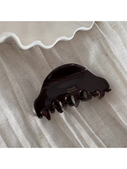 Beau - Beautiful Acetate Fashionable Hair Clip