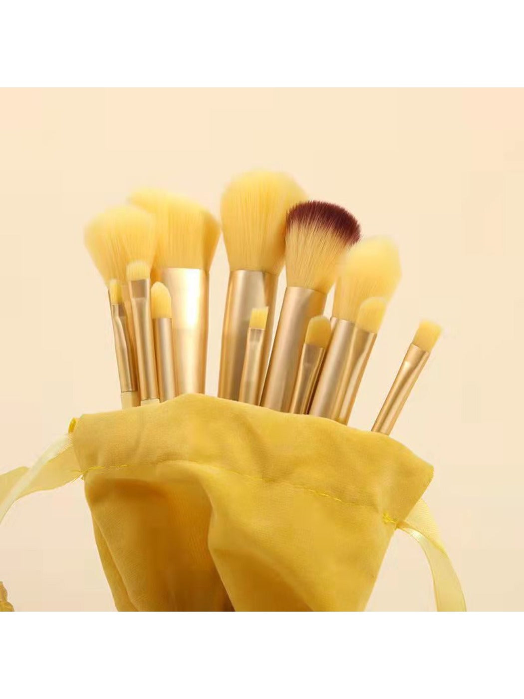 Smoosh - 13Pcs Makeup Brush Set