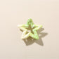 Beau - Gradient Star Claw Clip