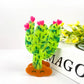 Beau brand fresh cactus hair clip attached to brown hair