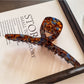 Beau - Vintage Straight Hair Claw Clip