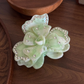 Beau - Bow Beaded Hair Claw