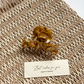 Beau - Abstract Pattern Rounded Hair Claw