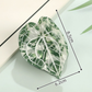 Beau - Leaf-Shaped Contrasting-Vein Hair Claw