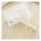 Beau - Elongated Curved-Bar Open-Loop Claw Clip