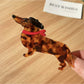 Beau dachshund claw clip with visible teeth gripping mechanism in brown and black