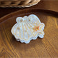 Beau - Acetate Starfish Glossy Claw Clip